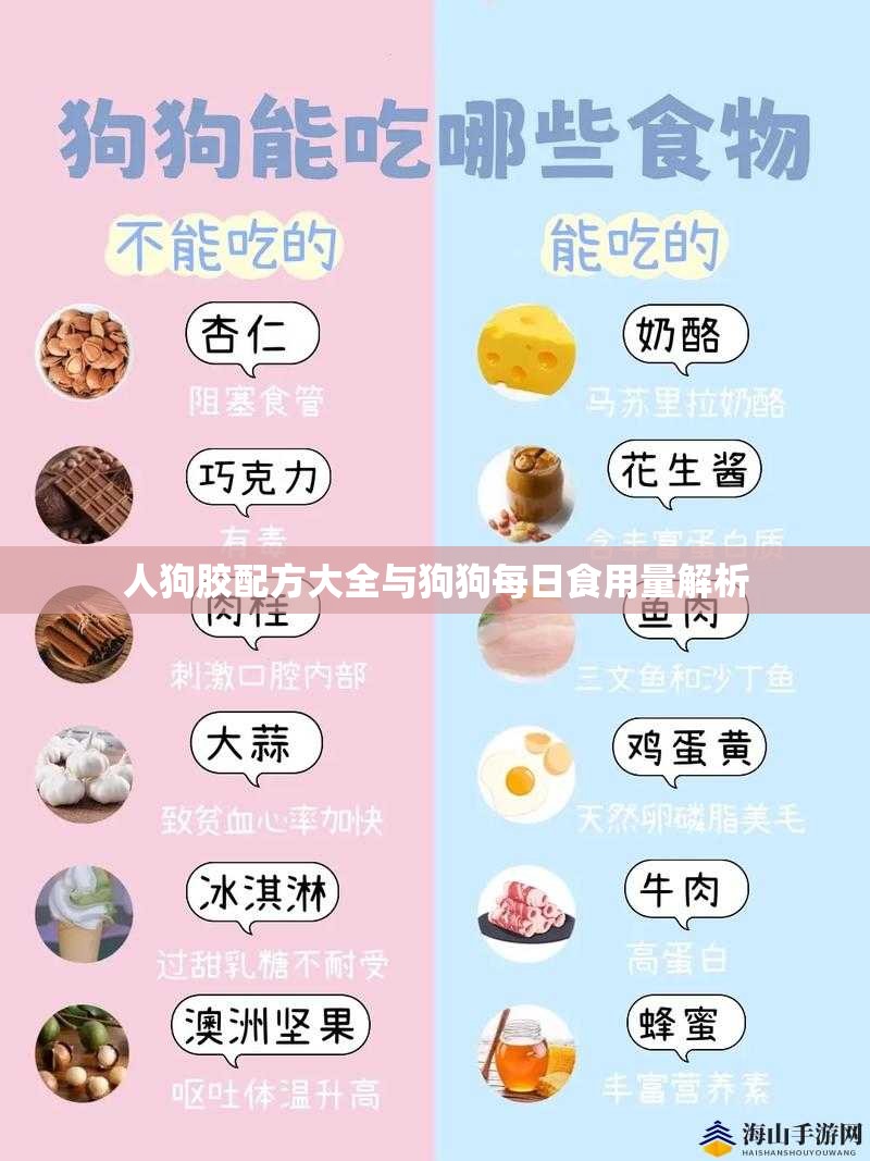 人狗胶配方大全与狗狗每日食用量解析