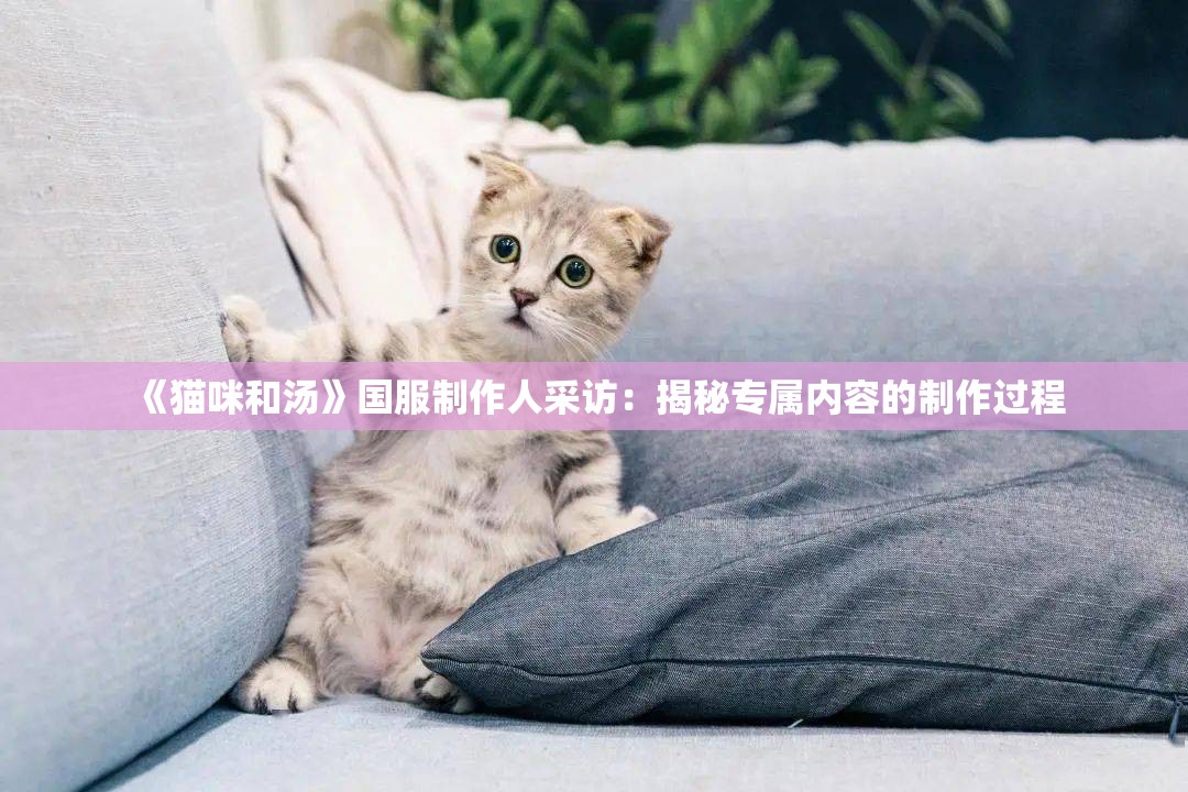 《猫咪和汤》国服制作人采访：揭秘专属内容的制作过程