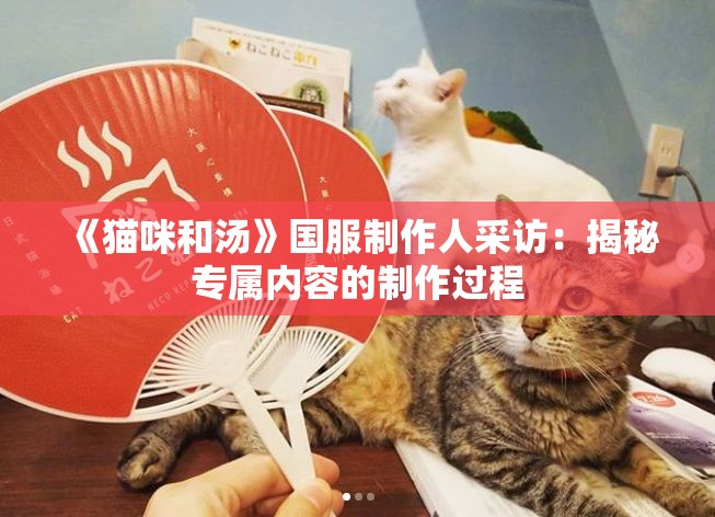 《猫咪和汤》国服制作人采访：揭秘专属内容的制作过程